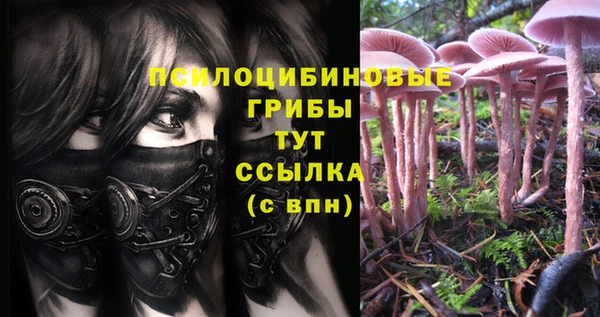 индика Волосово