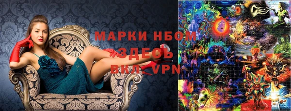 индика Волосово