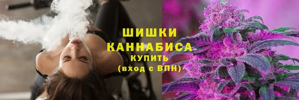 индика Волосово
