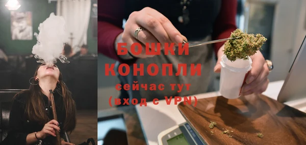 индика Волосово