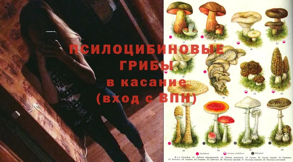 индика Волосово