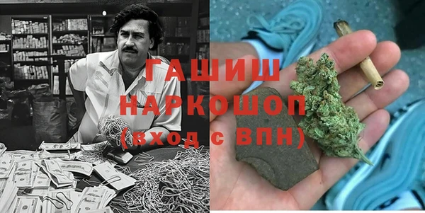 индика Волосово