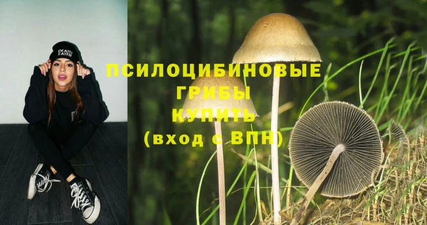 индика Волосово