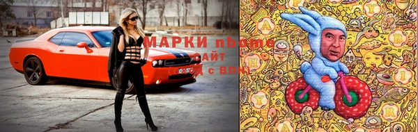 индика Волосово